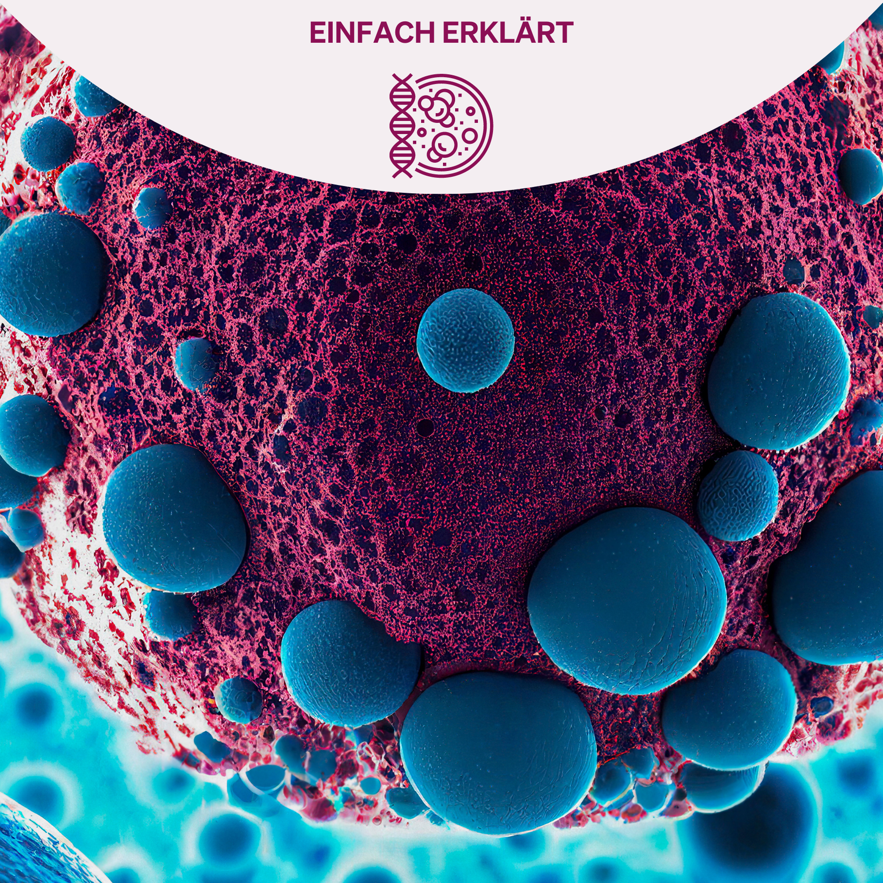 Eine stark vergrößerte mikroskopische Aufnahme von Zellen, die das komplexe Netzwerk und die Struktur des Immunsystems darstellen